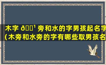 木字 🌹 旁和水的字男孩起名字（木旁和水旁的字有哪些取男孩名字）